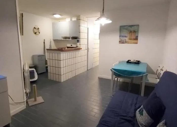 Super T2 Joli Balcon Centre Port Du Cap D'agde