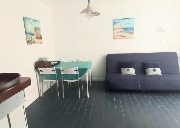 Super T2 Joli Balcon Centre Port Du Cap D'agde דירה